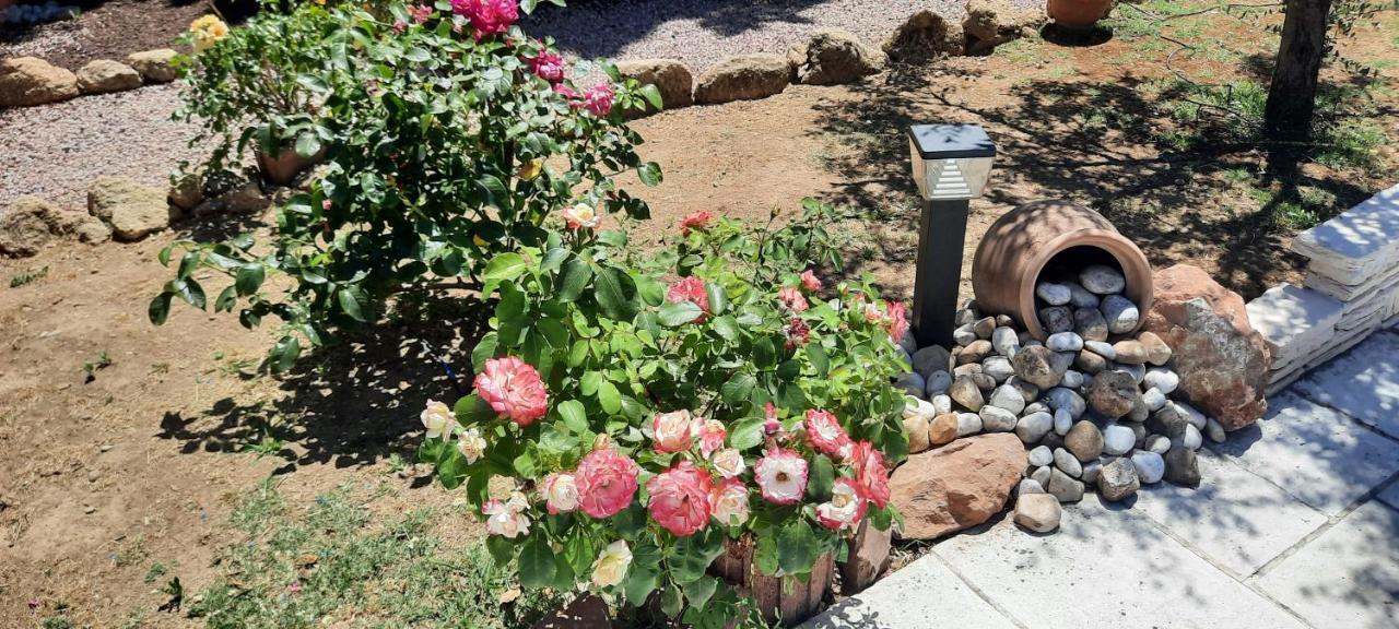 Bed and Breakfast Fenetre Sur Les Alpilles Сен-Мартен-де-Кро Экстерьер фото