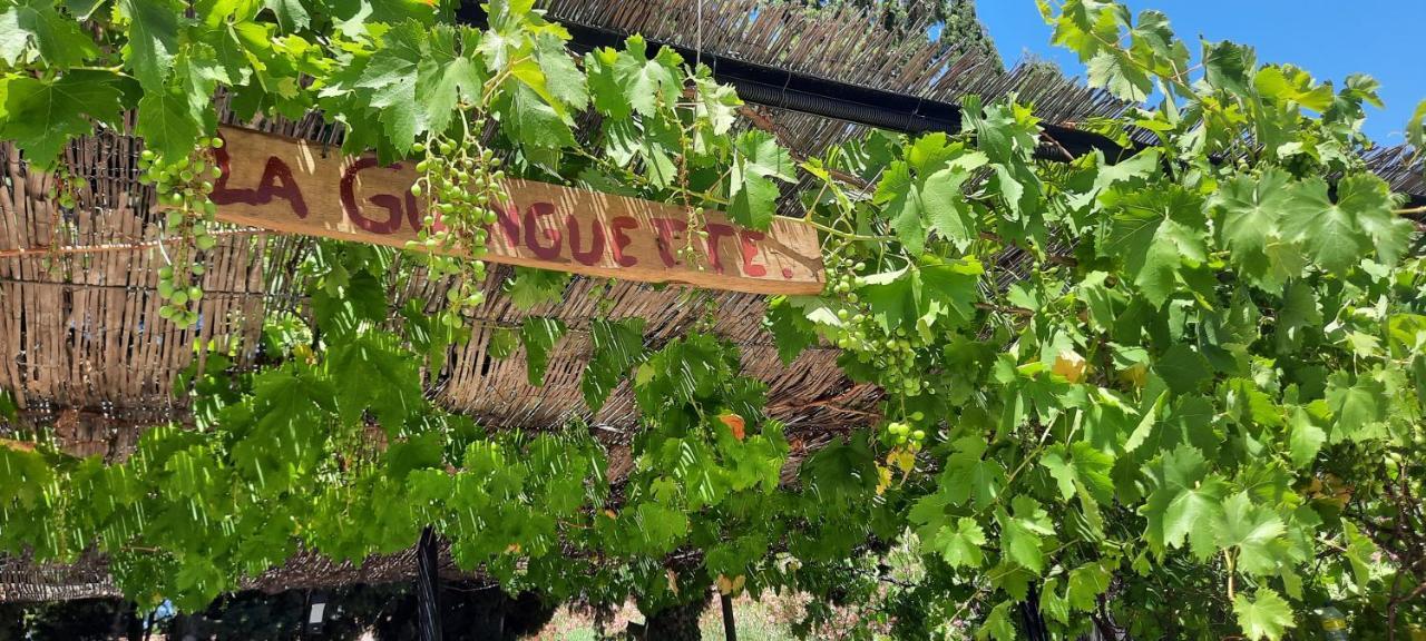 Bed and Breakfast Fenetre Sur Les Alpilles Сен-Мартен-де-Кро Экстерьер фото